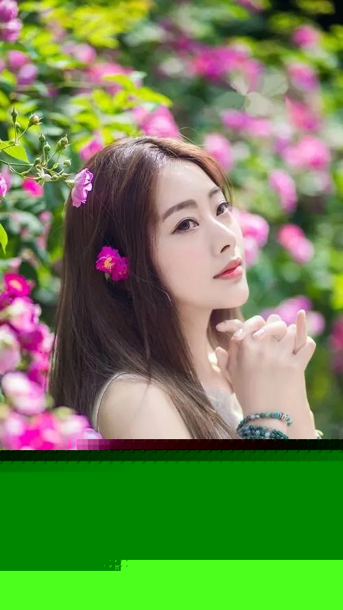 他的阿尔卑斯