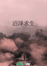 完结文感言们