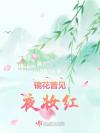 懒人无聊随笔
